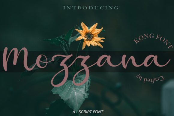 Mozzana: Adding Handwritten Charm to Modern Design