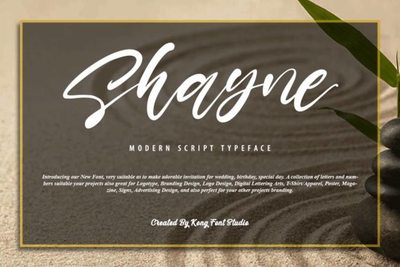 Shayne: A Modern Handwritten Font for Creative Projects